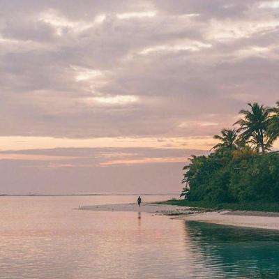 ManBetX网页版登录