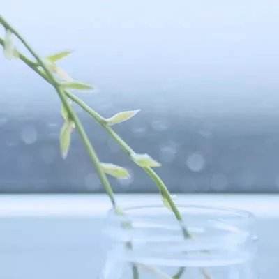 开元棋棋牌5467ccvod官网版截图